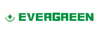 Evergreen